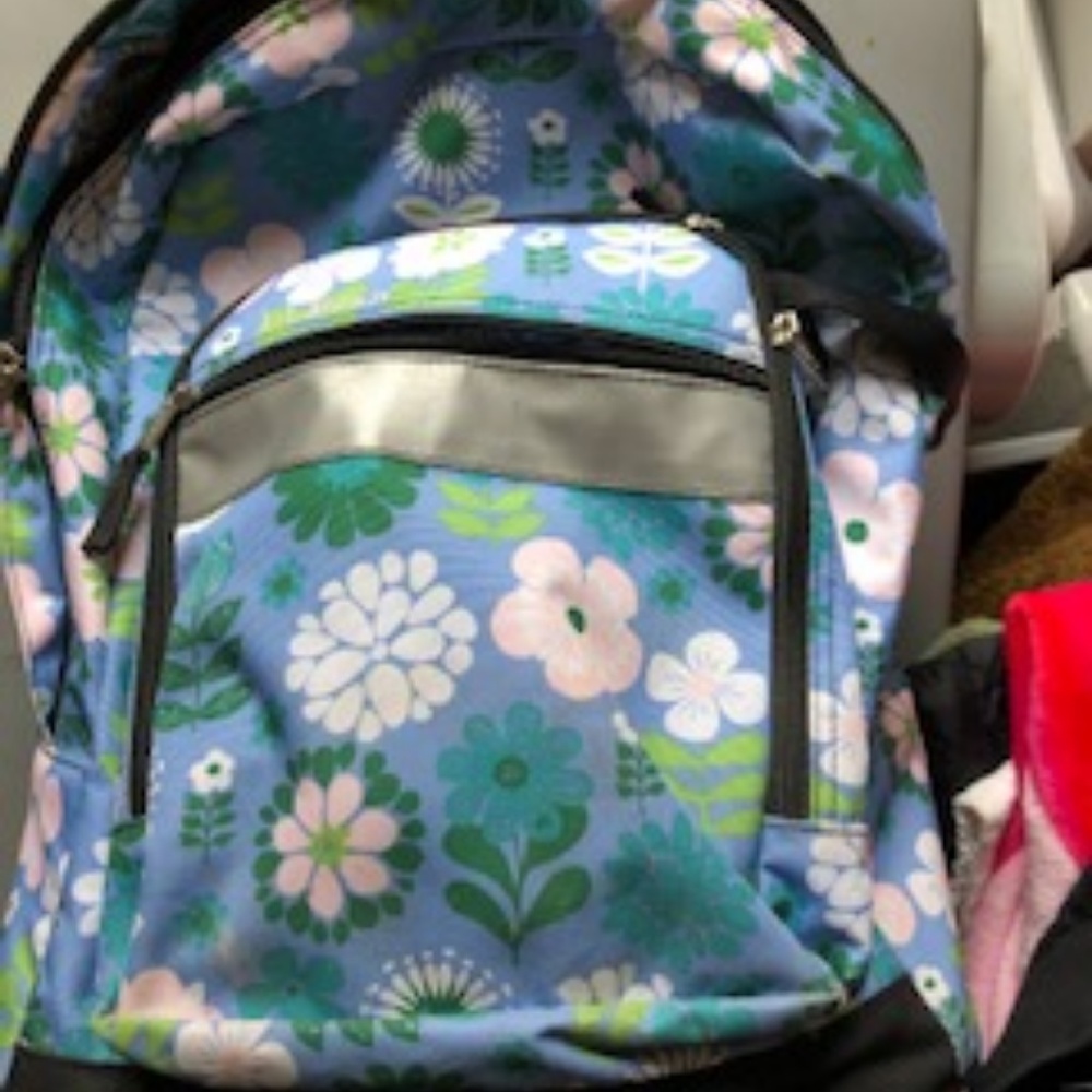 L.L Bean Backpack with Wheels or Strips